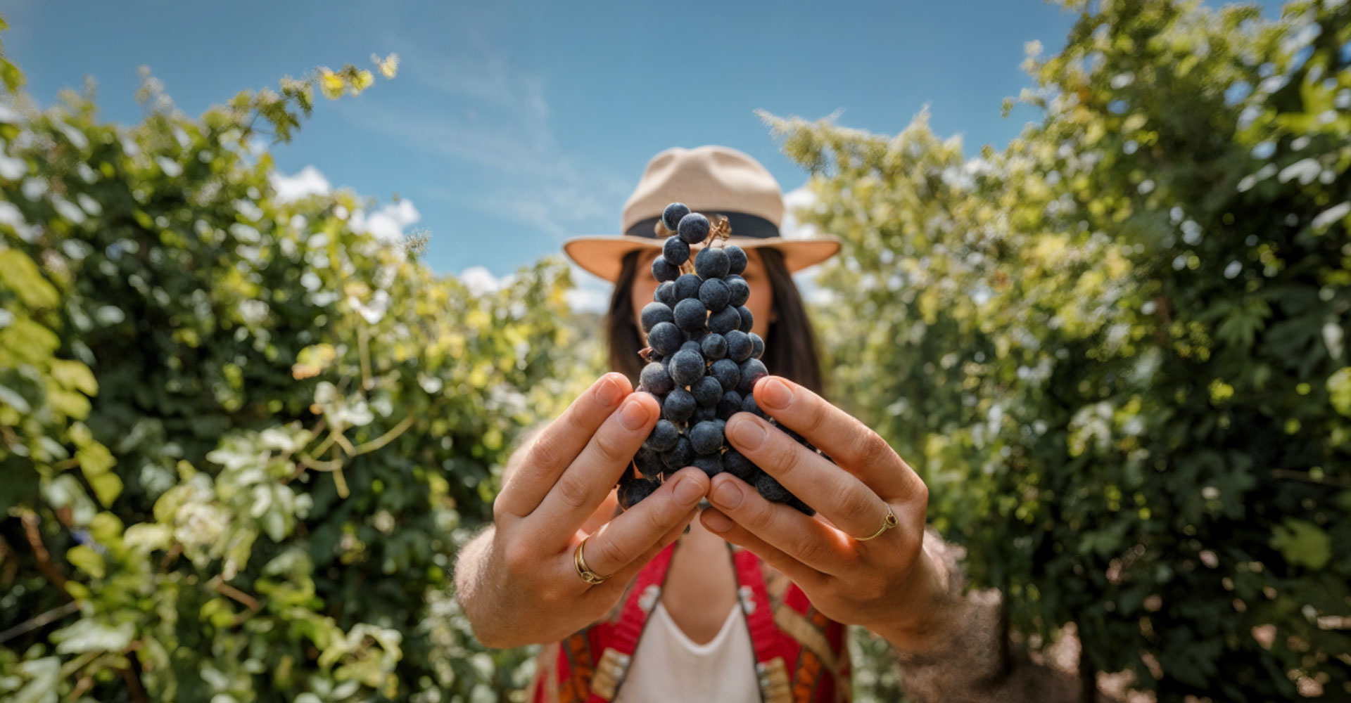 Un puente digital entre La Rioja y Uruguay Un puente digital entre La Rioja y Uruguay